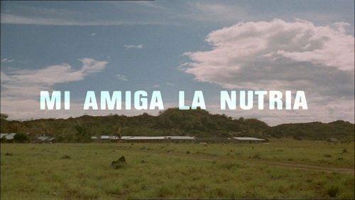 El hombre y la Tierra Season 1 Episode 17 - Episode 17