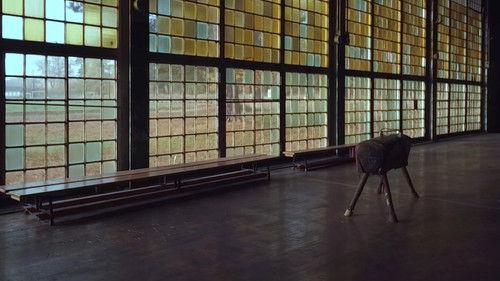 Abandoned Engineering Season 7 Episode 12 - Global Icons