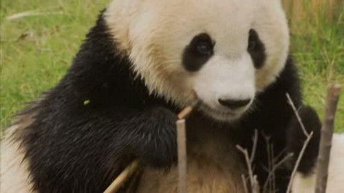 Untamed China Season 1 Episode 4 - Heavenly Mountains