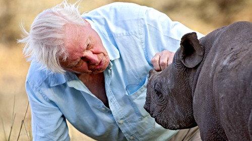 Africa Season 1 Episode 6 - The Future