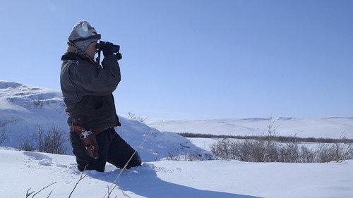 Life Below Zero Season 7 Episode 11 - Sue Aikens