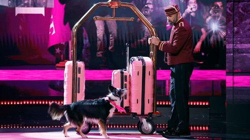 America's Got Talent Season 19 Episode 10 - Quarterfinals 1 Results