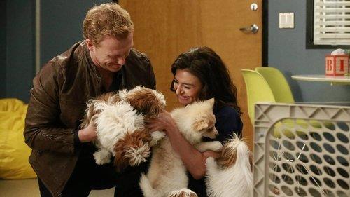 Grey's Anatomy Season 12 Episode 14 - Odd Man Out