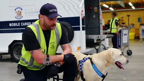 Dog Squad Season 12 Episode 5 - Episode 5