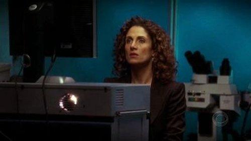 CSI: NY Season 1 Episode 17 - The Fall