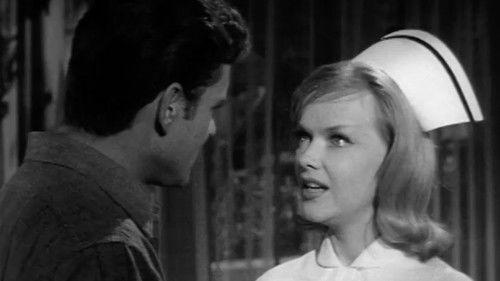 Honey West Season 1 Episode 18 - King of the Mountain