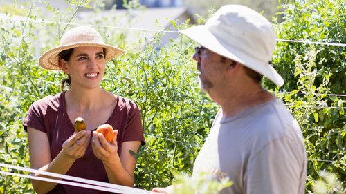 From the Source Season 3 Episode 5 - Tomatoes