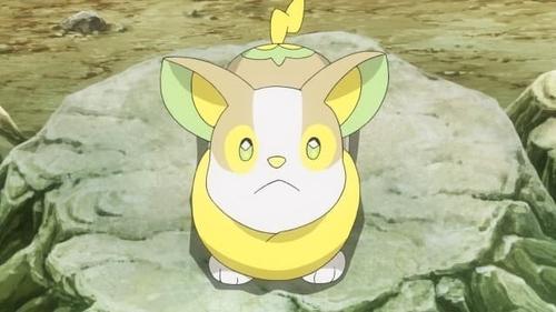 Pokémon Season 25 Episode 17 - Big Brother to the Rescue!