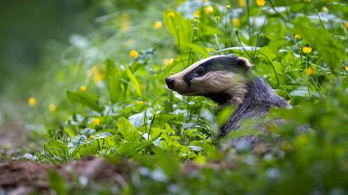Springwatch Season 22 Episode 2 - Episode 2