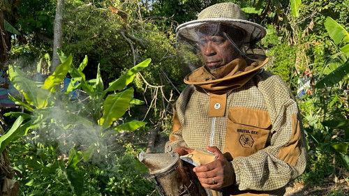 Clive Myrie’s Caribbean Adventure Season 1 Episode 5 - Westmoreland - Jamaica