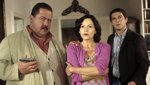 Die Rosenheim-Cops Season 5 Episode 10 - Diebstahl als Alibi