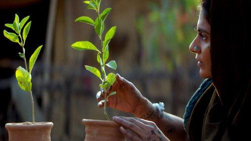 Saas, Bahu Aur Flamingo Season 1 Episode 3 - Genesis