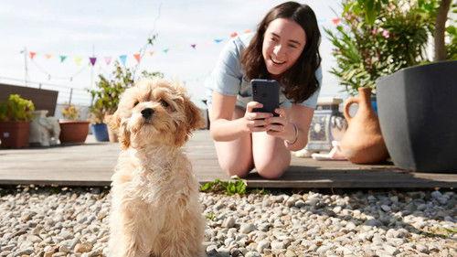 Pan Tau Season 1 Episode 13 - Episode 13