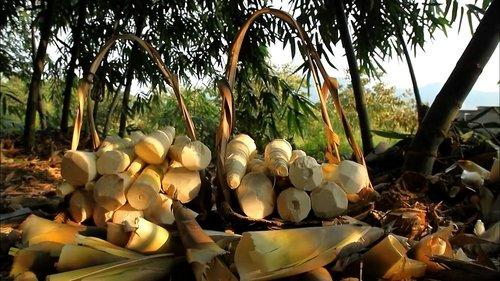 A Bite of China Season 1 Episode 1 - Gifts from Nature