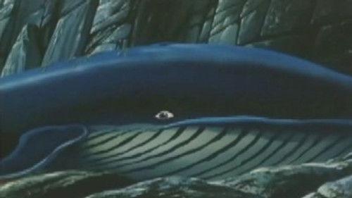 SuperTed Season 3 Episode 6 - SuperTed and the Whales