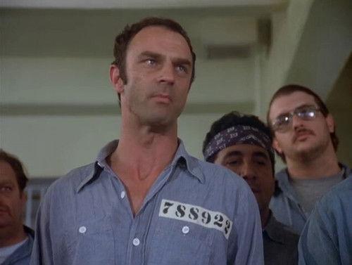 Quincy, M.E. Season 5 Episode 14 - Riot