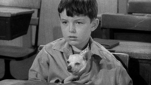 Leave It to Beaver Season 1 Episode 23 - Beaver and Poncho