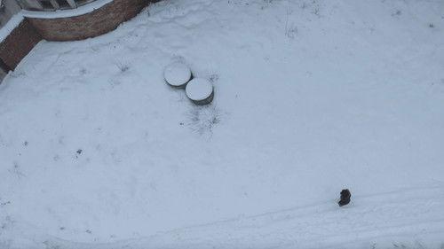 New Battle of the Psychics Season 1 Episode 12 - Episode 12