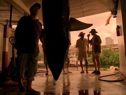 CSI: Miami Season 1 Episode 3 - Wet Foot/Dry Foot