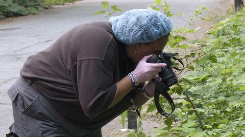 The First 48 Season 19 Episode 2 - Taken