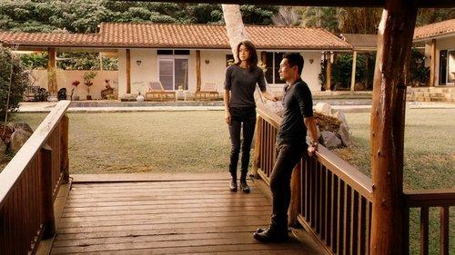 Hawaii Five-0 Season 7 Episode 11 - Kaʻili aku (Snatchback)