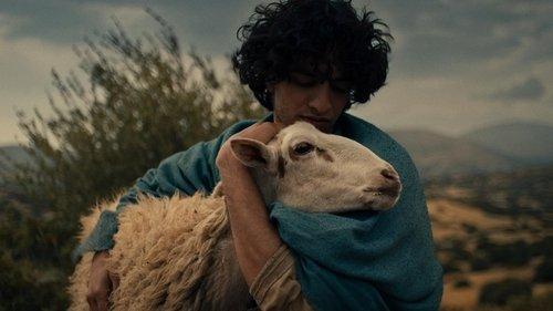 Background image for A Shepard and a King