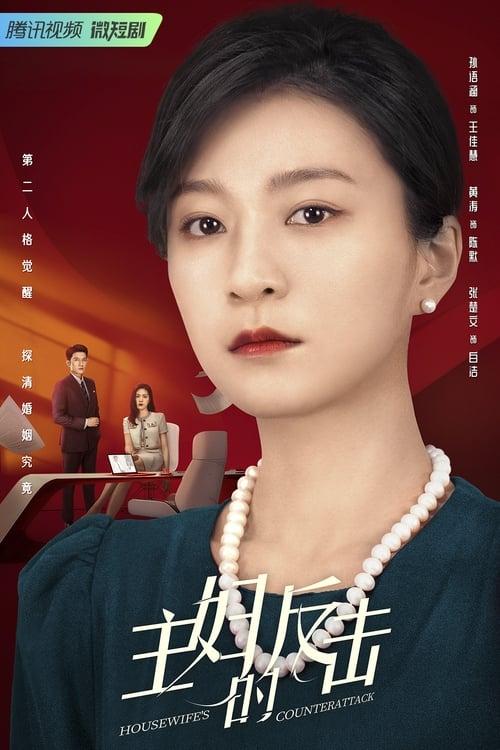 Housewife's Counterattack poster