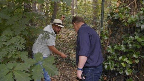 Familie Gillis: Massa is Kassa Season 8 Episode 4 - Episode 4