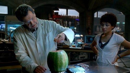 Fringe Season 2 Episode 3 - Fracture