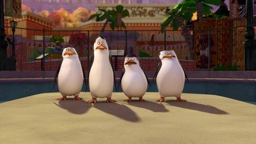 The Penguins of Madagascar Season 3 Episode 8 - Love Takes Flightless