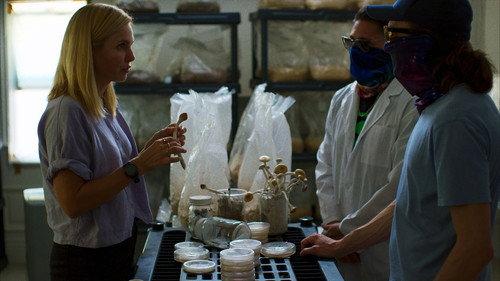 Trafficked with Mariana van Zeller Season 3 Episode 2 - LSD