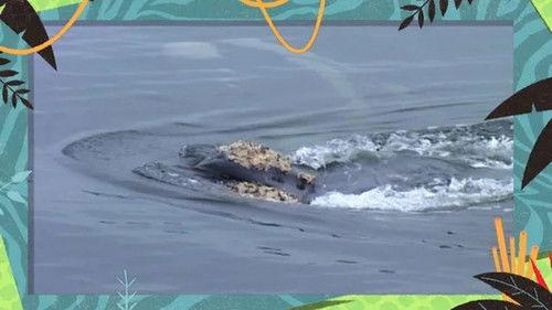 Kukurota Season 4 Episode 4 - Episode 4