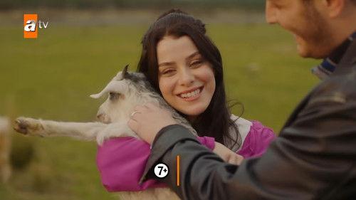 Street Birds Season 2 Episode 24 - Episode 45