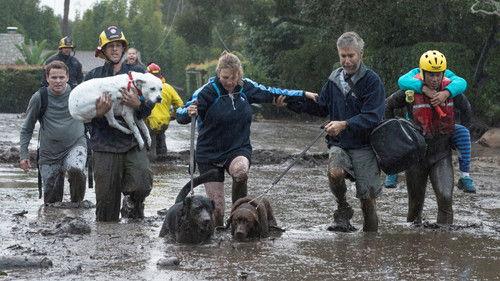 PBS News Hour Season 43 Episode 8 - January 10, 2018