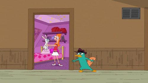 Phineas and Ferb Season 2 Episode 23 - No More Bunny Business