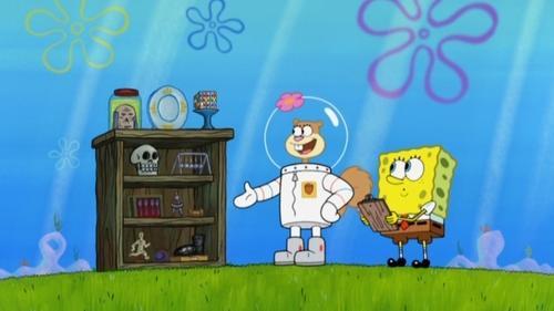 SpongeBob SquarePants Season 8 Episode 17 - House Sittin' for Sandy