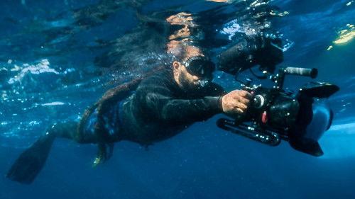 Hamza's Hidden Wild Isles Season 1 Episode 2 - Summer