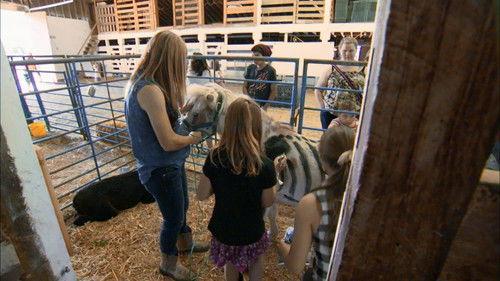 Dr. Oakley, Yukon Vet Season 2 Episode 8 - Bull Steam Ahead