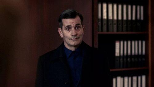 Professor T. Season 3 Episode 9 - The Hit and Run