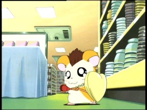 Hamtaro Season 1 Episode 49 - In Search of the Pendant