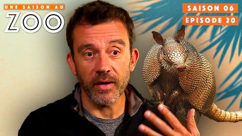 Une saison au zoo Season 6 Episode 20 - Episode 20
