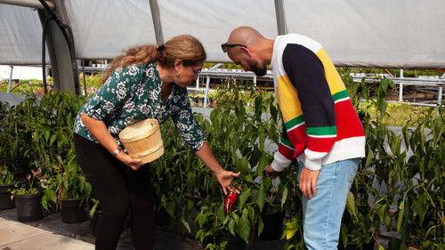 Immigrants de souche Season 1 Episode 6 - Episode 6