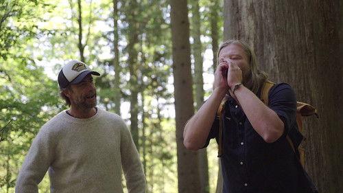 3 on Tour Season 18 Episode 19 - Poland, Katowice and primeval forest