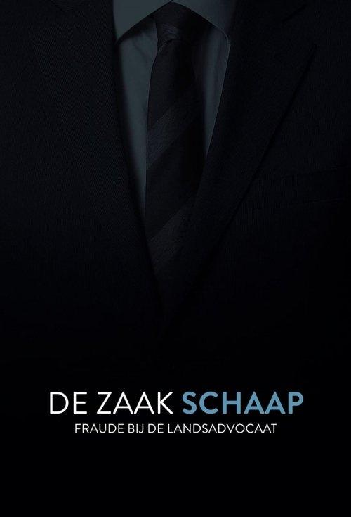 De Zaak Schaap: fraude bij de landsadvocaat poster