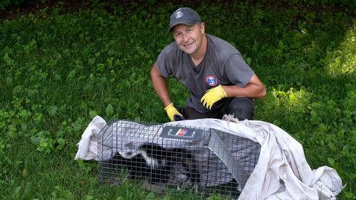 Louis and the Urban Jungle Season 2 Episode 7 - Episode 7