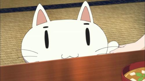 AOKANA: Four Rhythm Across the Blue Season 1 Episode 9 - The Answer Is Up in the Sky!