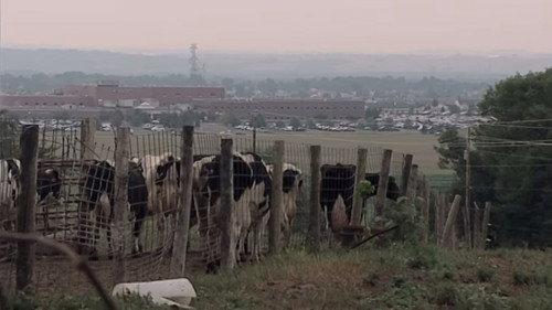 Minnesota: A History of the Land Season 1 Episode 4 - Second Nature (1940s and Beyond)