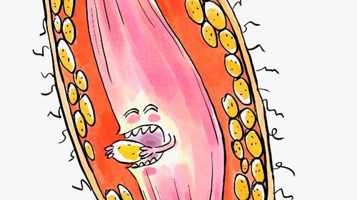 Tu mourras moins bête Season 1 Episode 25 - Episode 25