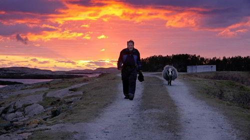 Der ingen skulle tru at nokon kunne bu Season 16 Episode 5 - Episode 5