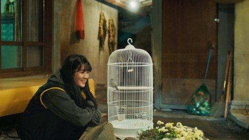 Mouse Season 1 Episode 3 - Resurfacing Murder Cases